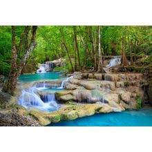 Waterfall in Deep Green Forest Wall Mural