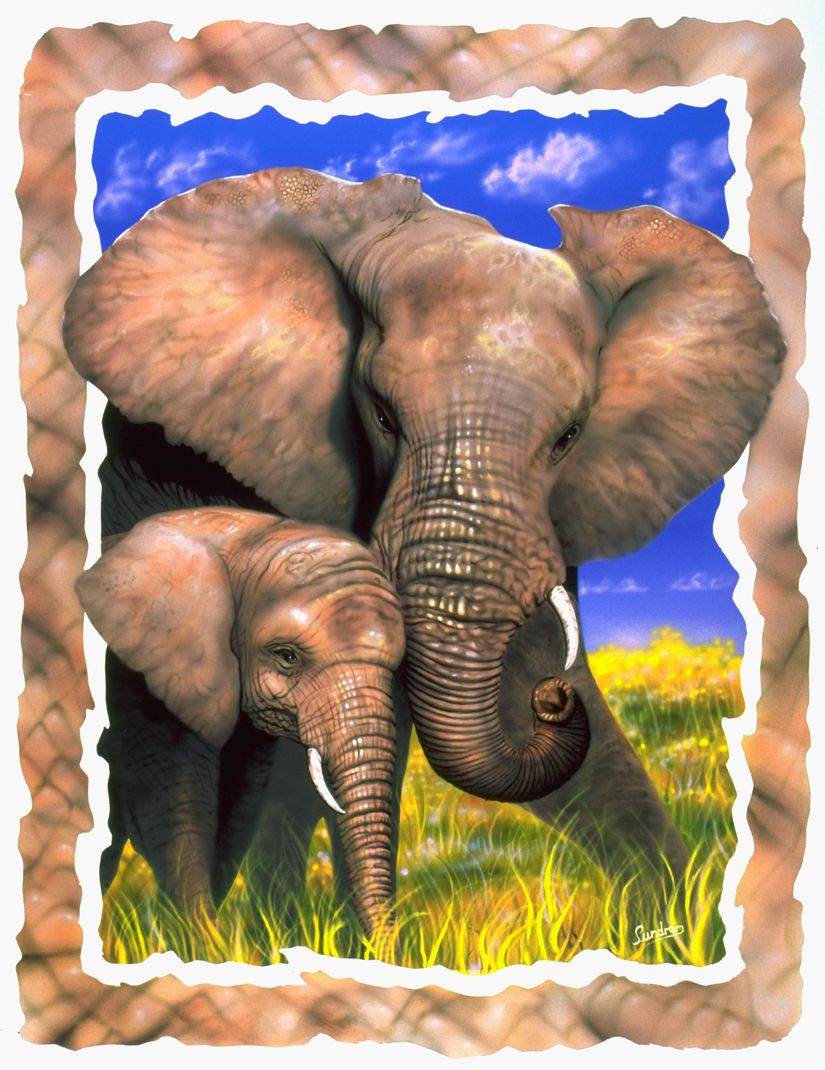 Baby African Elephant – Love the Last