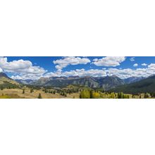 Elevated view of trees on landscape from Molas Pass Wall Mural