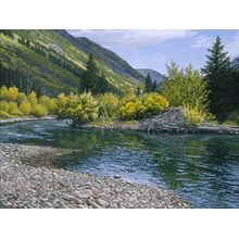 Beaver Lodge Pool Wall Mural