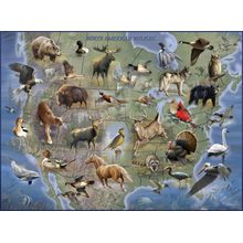 North American Wildlife Map Wall Mural