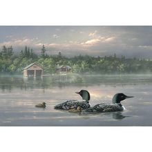 Passing Storm Loons Wall Mural