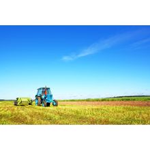 Tractor On A Farmer Field Wall Mural