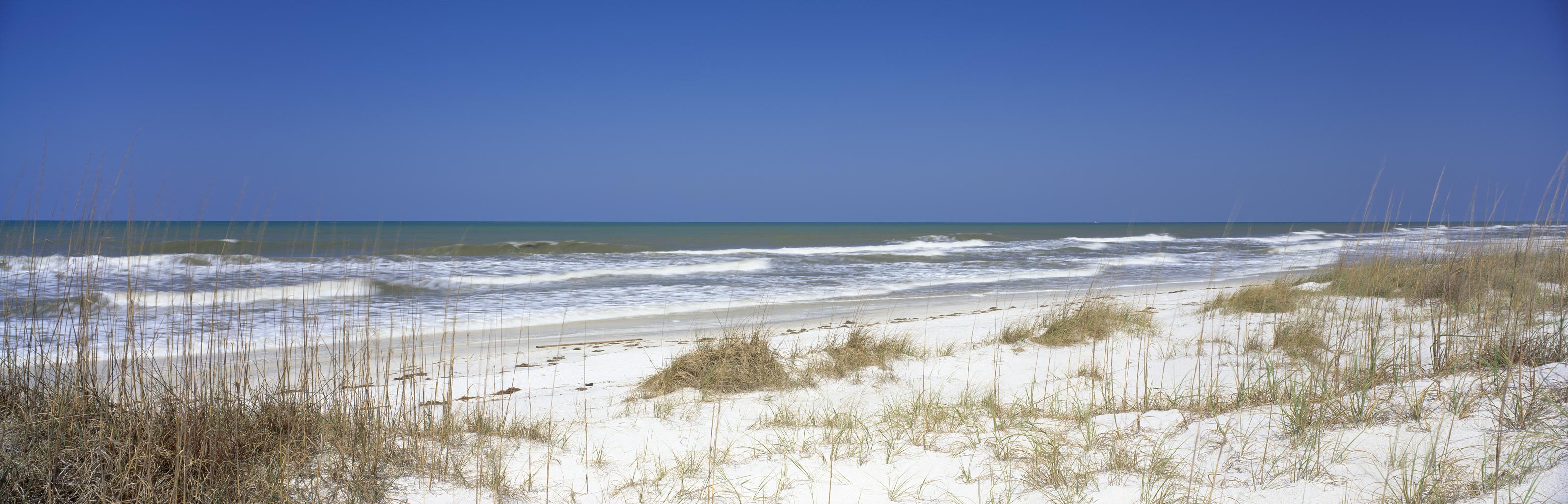 Grassy Shoreline Background