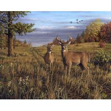 Pasture Whitetails Wall Mural