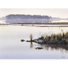 Heron Wall Mural
