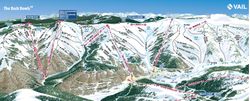 Vail-Back-Bowls-Ski-Trail-Map-Mural