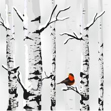 Winter Bird and Birch Wall Mural