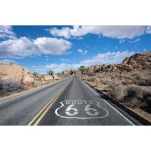 California Desert Joshua Tree Highway With Route 66 Wall Mural