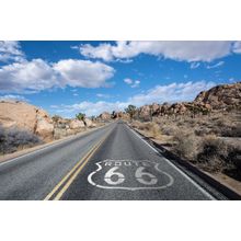 California Desert Joshua Tree Highway With Route 66 Wall Mural
