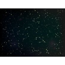 Constellations Wall Mural
