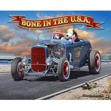 Bone in the USA '32 Wall Mural