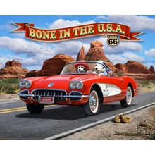 Bone in USA Vette Wall Mural