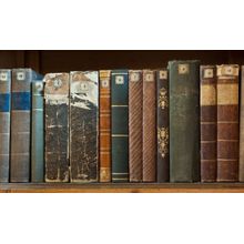 Row Of Vintage Books Wall Mural