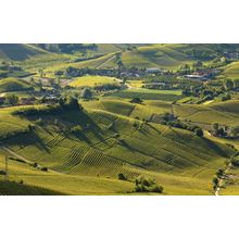 The Vineyards Of Langhe Wall Mural