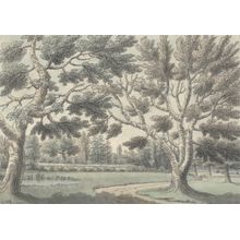 Landscape Garden with Ponds Seen Through Trees Wall Mural