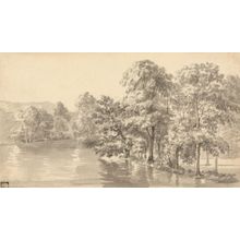 Trees By A Lake Wall Mural