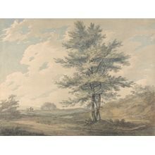 Landscape with Trees and Figures Wall Mural