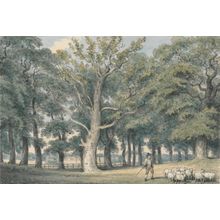 A Park Landscape with Shepherd and Sheep Wall Mural