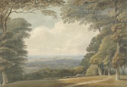 Distant View of Windsor Castle Wallpaper Mural