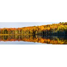 Reflection Of Trees In Pete's Lake Wall Mural