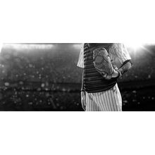 Baseball Catcher In Stadium Wall Mural