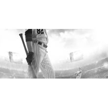 Baseball Batter Stepping In The Box Wall Mural