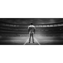 Ballplayer Standing In Full Stadium Wall Mural