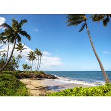 Maui Beach at Kihei Wall Mural