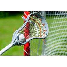 Lacrosse Stick And Ball Near Net Wall Mural