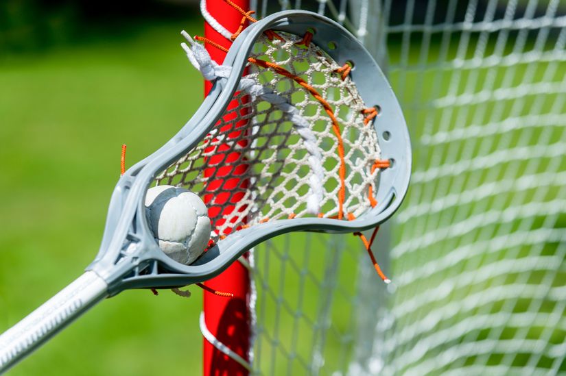 Lacrosse Stick And Ball Near Net Wall Mural - Murals Your Way