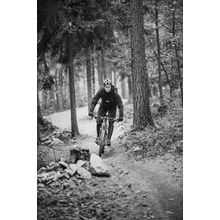 Mountain Biker Riding In Autumn Forest Wall Mural