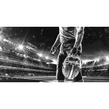 Football Player In Stadium Wall Mural