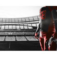 Football Player In Red Standing In Stadium Mural
