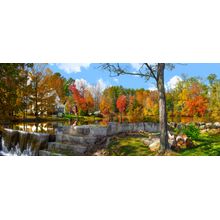 Chocorua Park Autumn in Maine Wall Mural