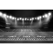 Football Stadium On the 50 Yard line Wall Mural