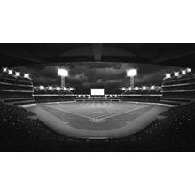Baseball Stadium From Behind Home Plate Wall Mural