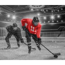 Ice Hockey Training Wall Mural