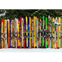 Fence Made Out Of Skis Wall Mural