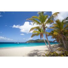 Sandy Cay, British Virgin Islands Wall Mural