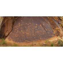 Newspaper Rock Wall Mural