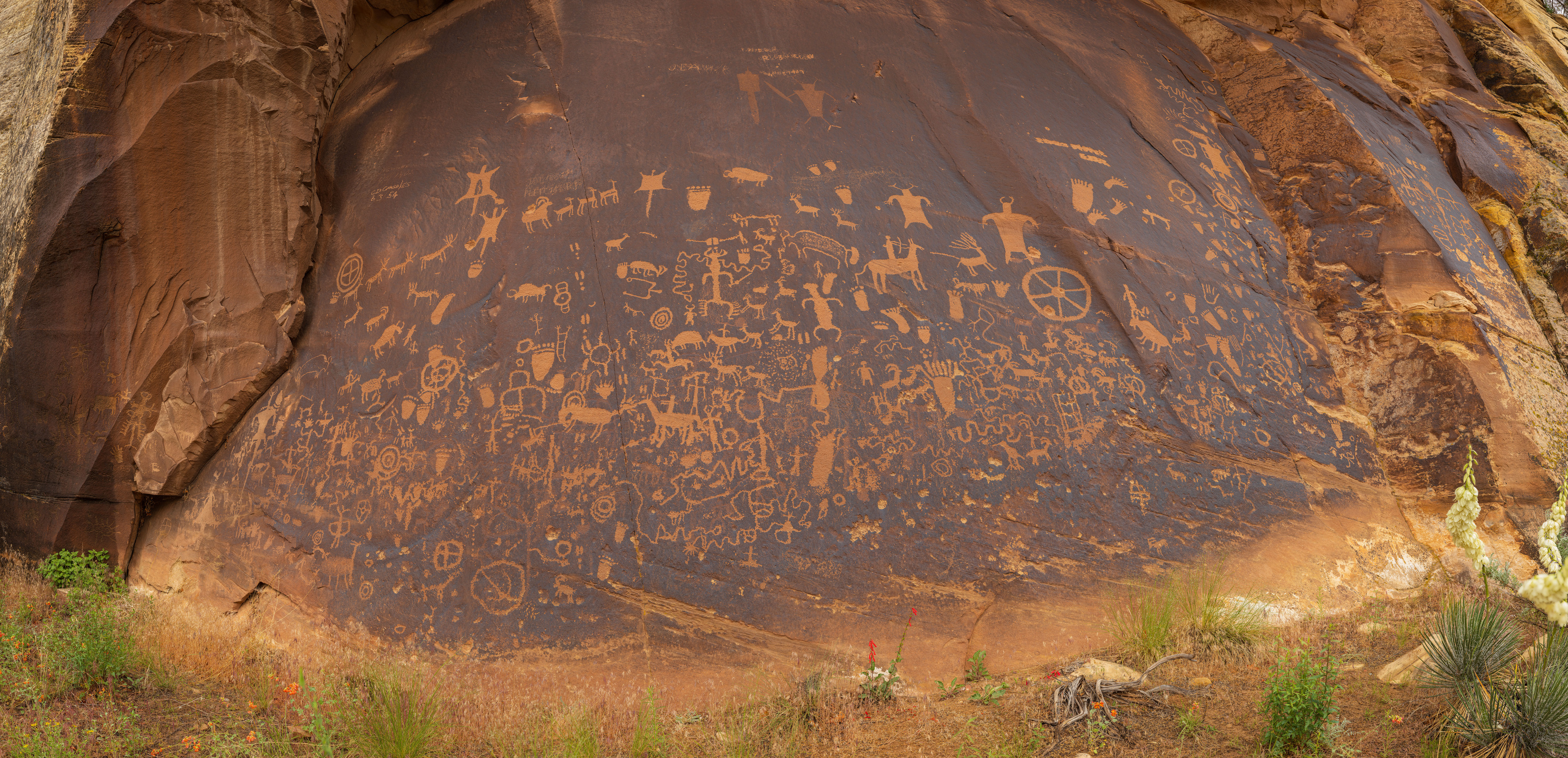 Newspaper Rock Wallpaper Mural - Murals Your Way
