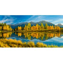 Autumn Colors At Quarry Lake Wall Mural
