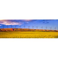 Wind farm In Alberta, Canada Wall Mural