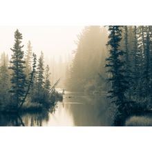 Foggy Lake In Alberta Wall Mural