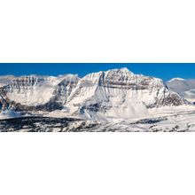 The Monarch, Sunshine Meadows, Banff National Park Wall Mural