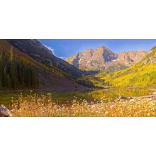 Maroon Bells Fall Colors And Daisies Wall Mural