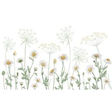 Field of Daisies Wall Mural