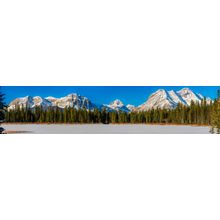 Buller Pond In Alberta, Canada Wall Mural