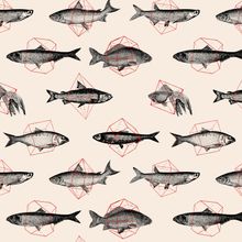 Fish In Geometrics Wall Mural